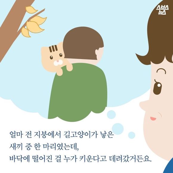  생선 싫어하는 생선 가게 고양이 | 인스티즈