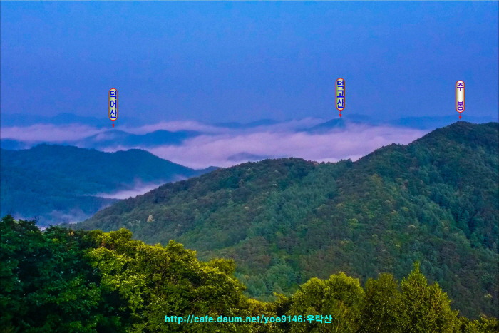 죽림산 정상 이미지
