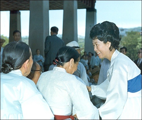 대덕화 이미지