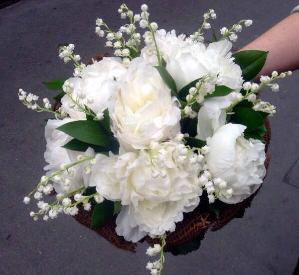 peony 이미지