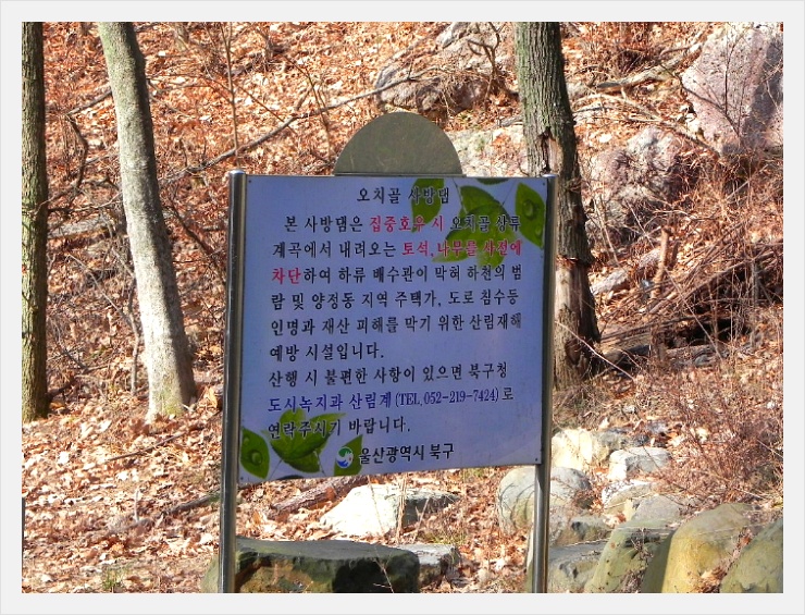 오치골 이미지