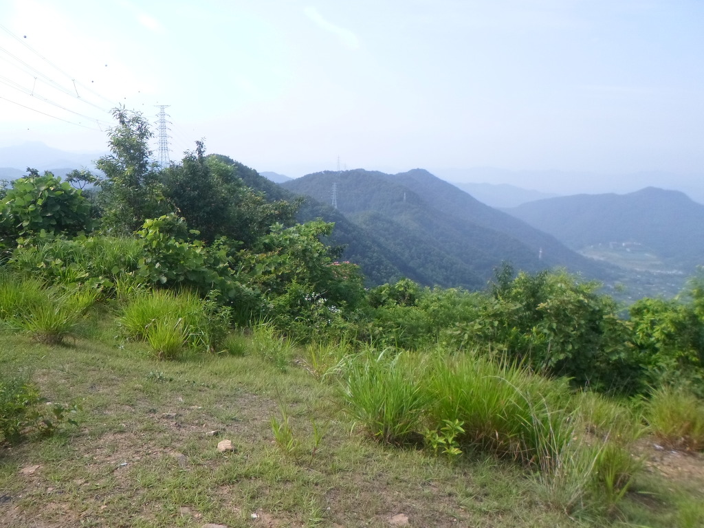 함박산주유소 이미지