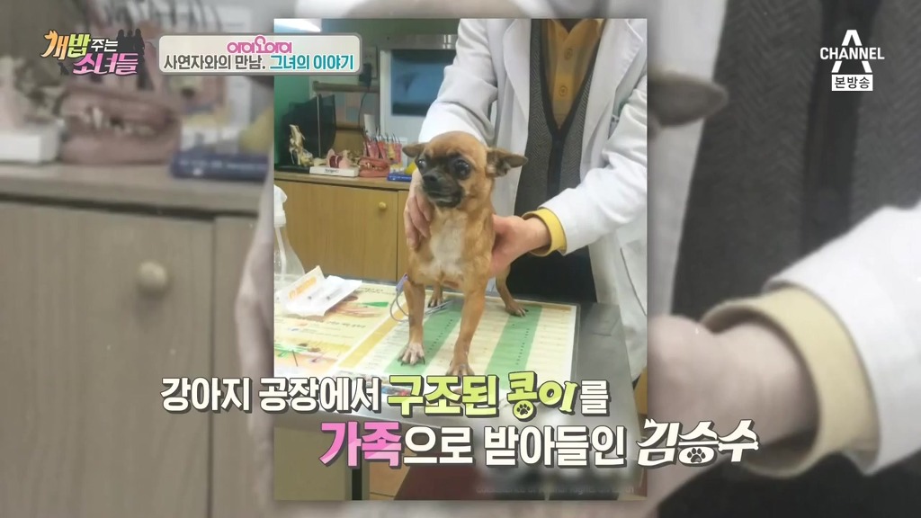 반려견 떠나보내는 암 말기 환자 ㅠㅠㅠ | 인스티즈
