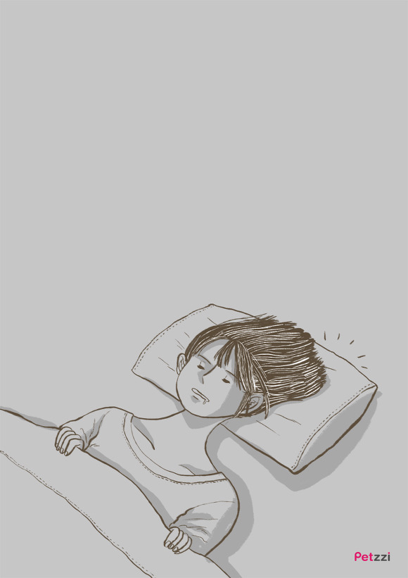 고양이 키우다 보면 느끼는 고양이의 소소한 취향.jpg | 인스티즈