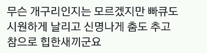 를 시원하게 날리고 신명나게 춤추는 개구리.jpg | 인스티즈