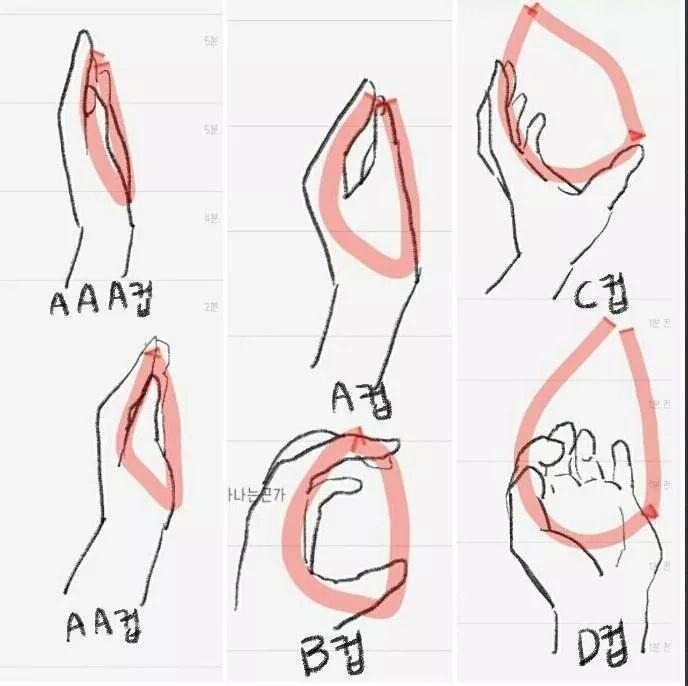 가슴 사이즈 확인법 | 인스티즈