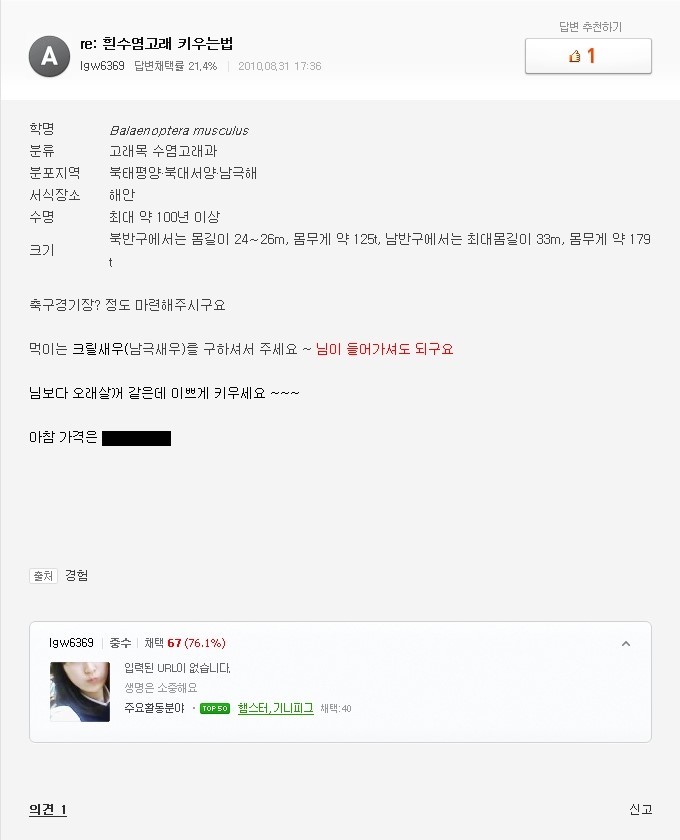 흰수염 고래 키우는법 | 인스티즈