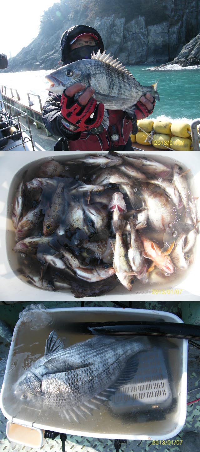 순천대물낚시 이미지