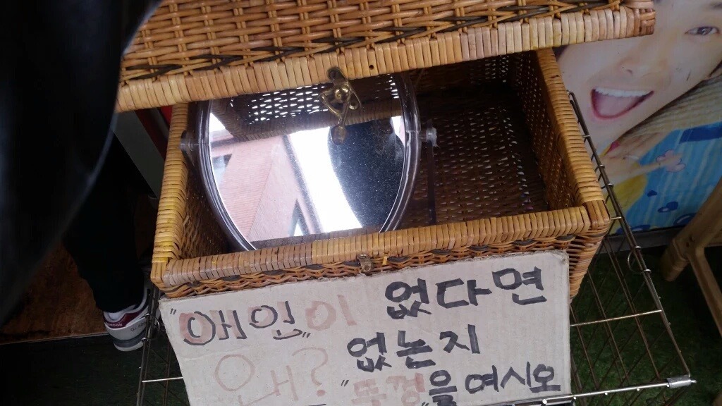 애인이 없는 이유를 알려주는 상자 | 인스티즈
