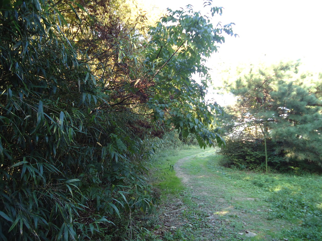 오주 이미지