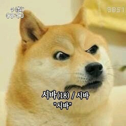 아 이미지