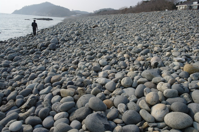 완도바다로 이미지