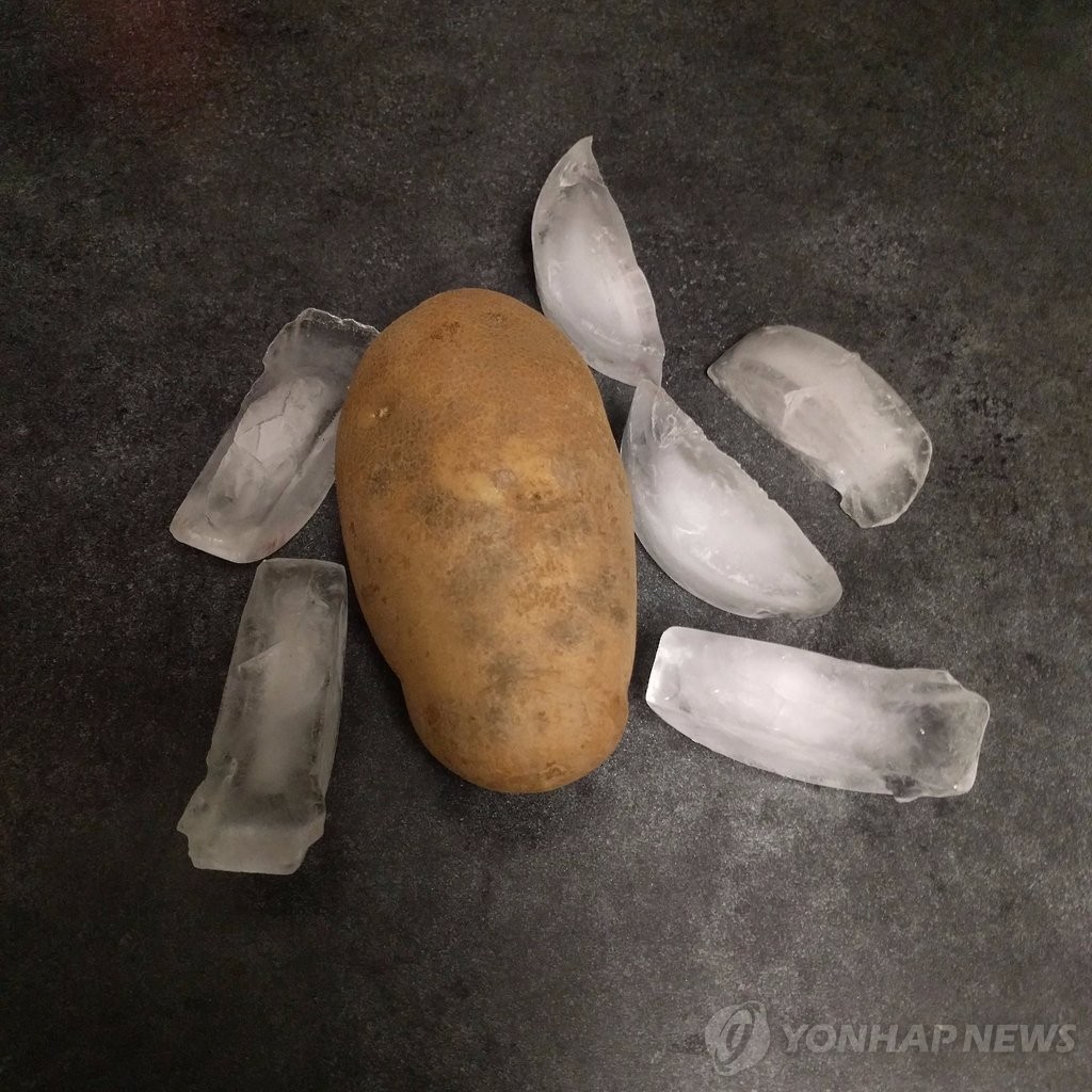 감자로 표현한 디즈니 공주들.jpg | 인스티즈