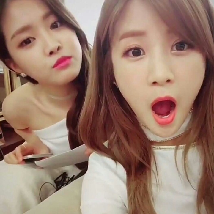 아침에는 나은이 초롱이 | 인스티즈