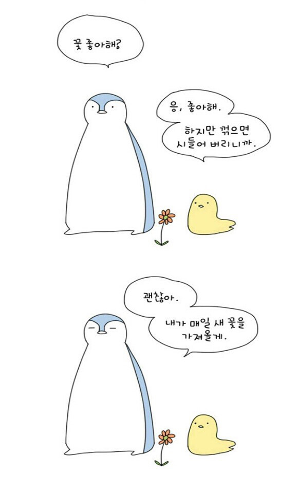 설레이는 동물 웹툰.jpg | 인스티즈