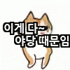 이게 전부 야당 때문이다!+자한당 때문이다! | 인스티즈