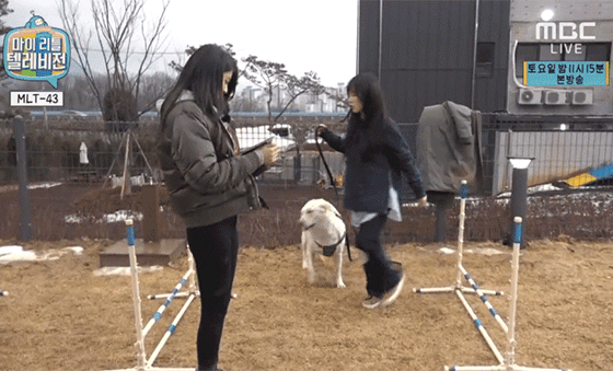 지금 하고 있는 마리텔 개방 컨텐츠.gif | 인스티즈