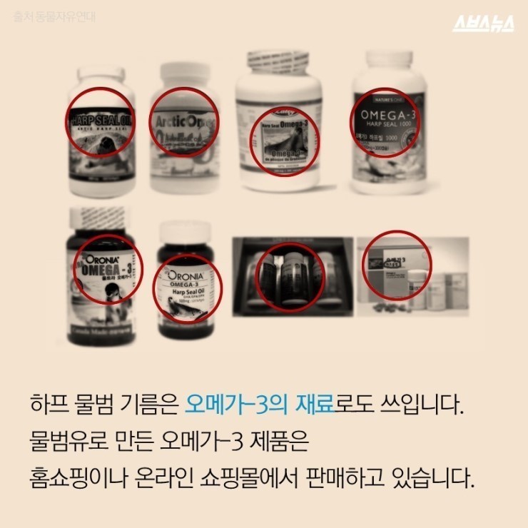  코리아 미워요 | 인스티즈