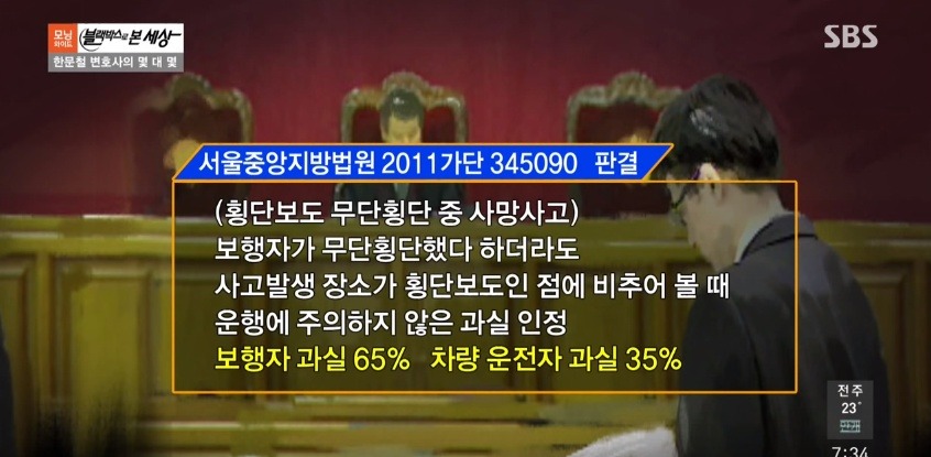 운전자 입장에서 억울한 무단횡단 사고 | 인스티즈
