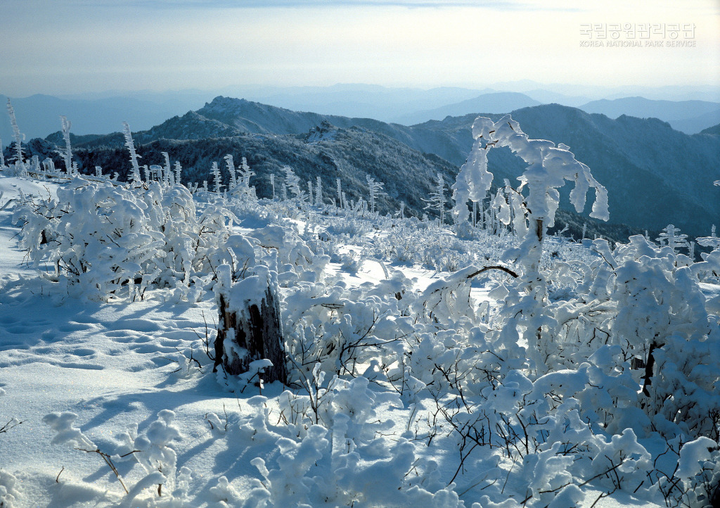 지리산 이미지