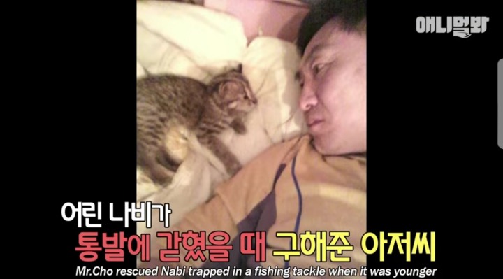 아저씨 졸졸 따라다니는 쏘스윗한 삵 (폭풍애교주의) | 인스티즈