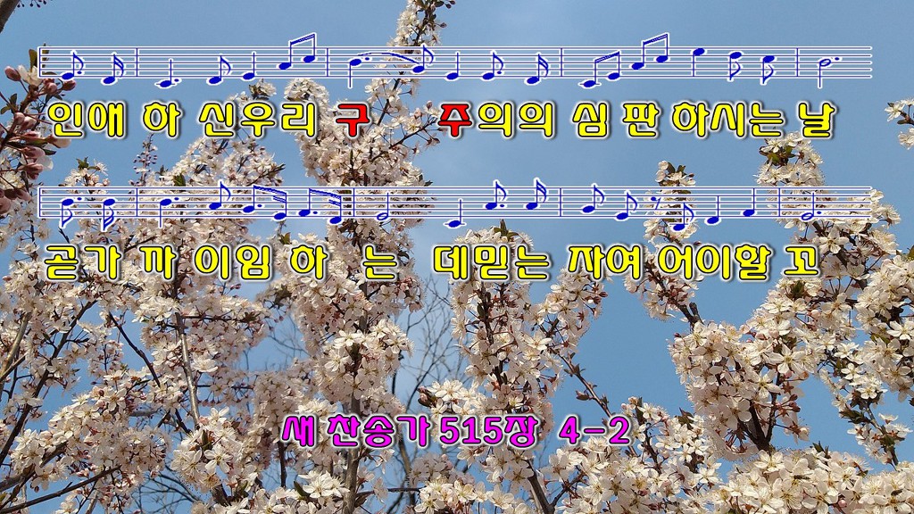 하늘보라 이미지