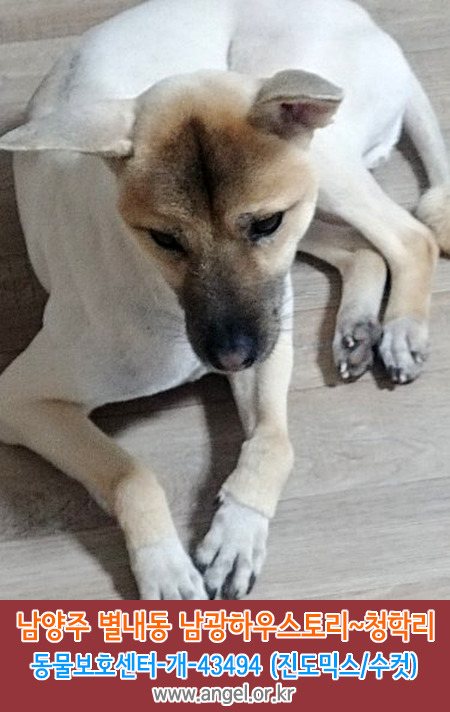 수컷 이미지