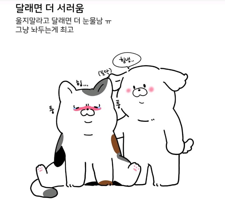 눈물 많은 울보 특징 | 인스티즈