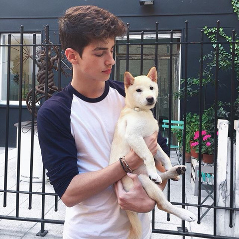 뜨거운물 샤워를 즐기는 강아지.gif | 인스티즈