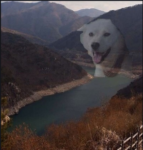 (주)다담 이미지