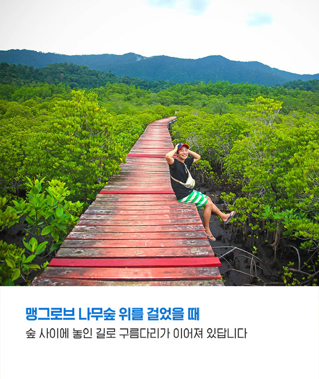 태국 코끼리섬 꼬창에서 느낀 매력적인 순간 | 인스티즈