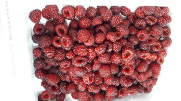 99144C465D031CAF39709C