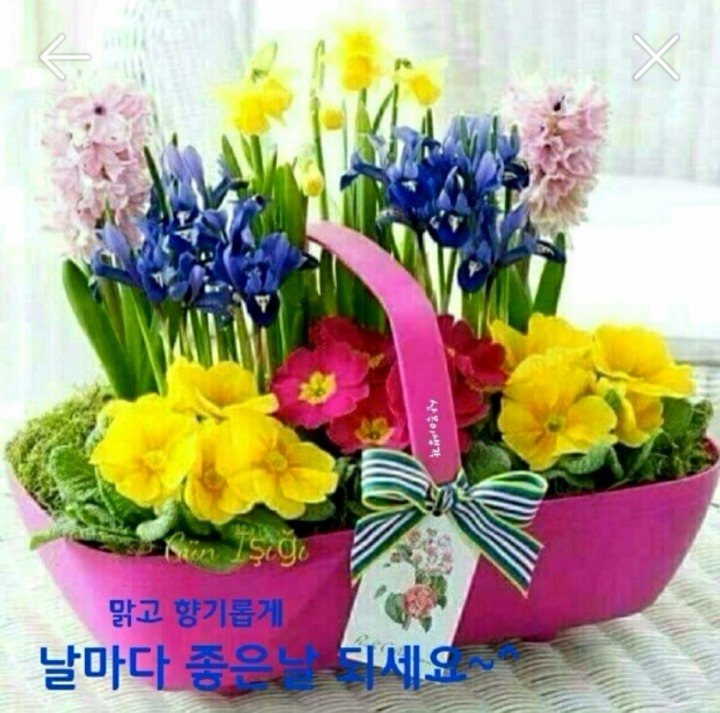 좋은아침 이미지