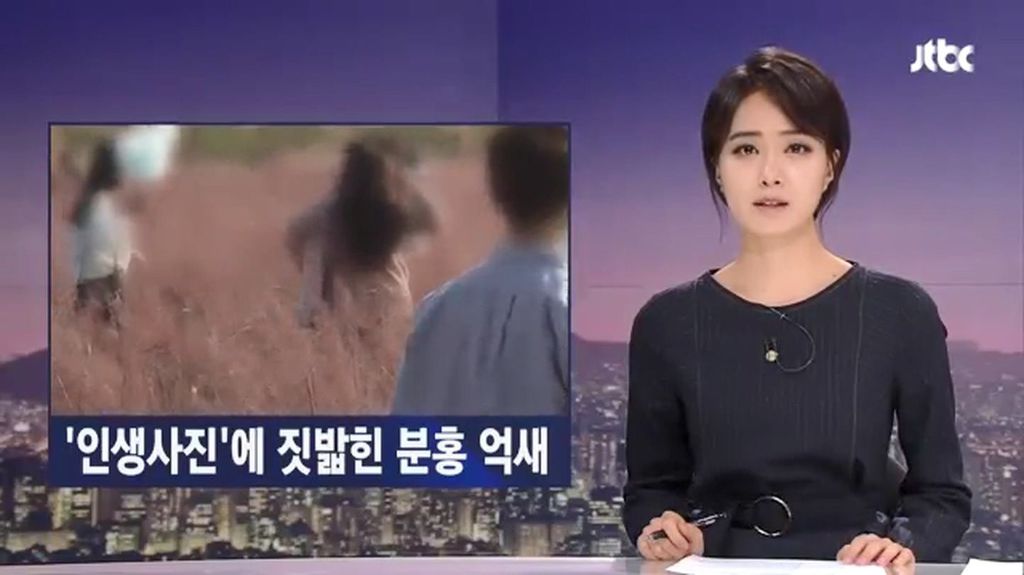 인생사진에 짓밟힌 분홍 억새.jpg | 인스티즈