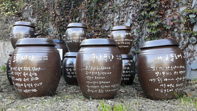 고운잎사과 이미지