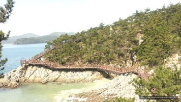 서부농협주유소 이미지