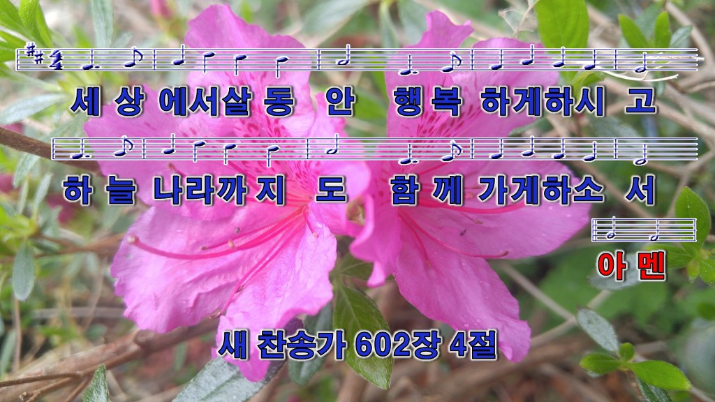 성부 이미지