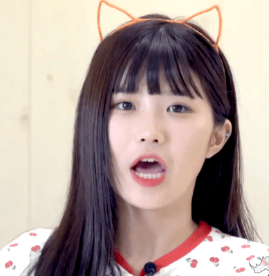 고양이 카페에 간 프로미스나인.gif | 인스티즈