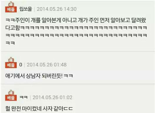 해병대 다녀온 강아지.JPG | 인스티즈