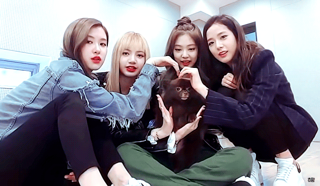 [블랙핑크] 끼가 흘러 넘치는 제니 | 인스티즈