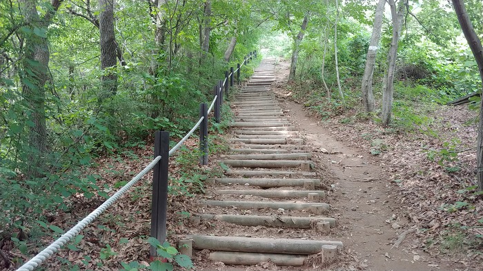 계룡상사 이미지