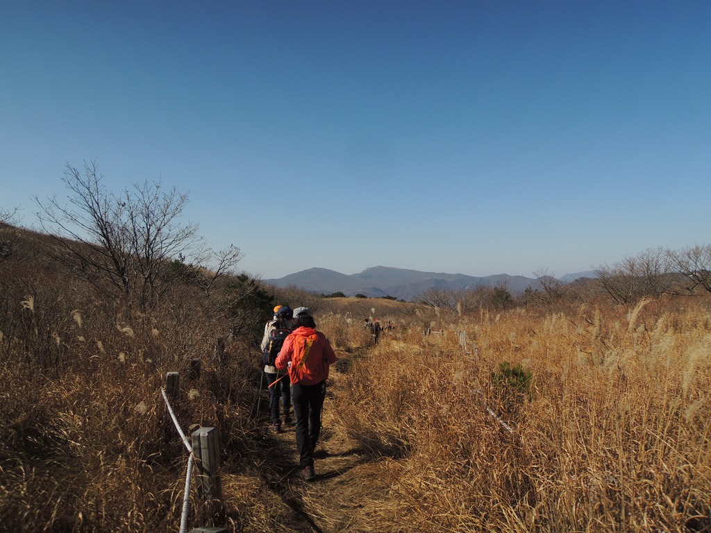 간월산자연휴양림 이미지