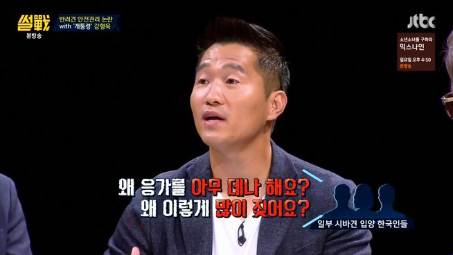 [썰전] 시바견 | 인스티즈