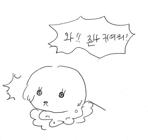아름다운 애완인간 | 인스티즈