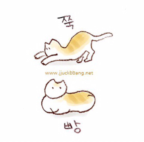 흔한 남자 연예인의 못말리는 일화.jpg | 인스티즈