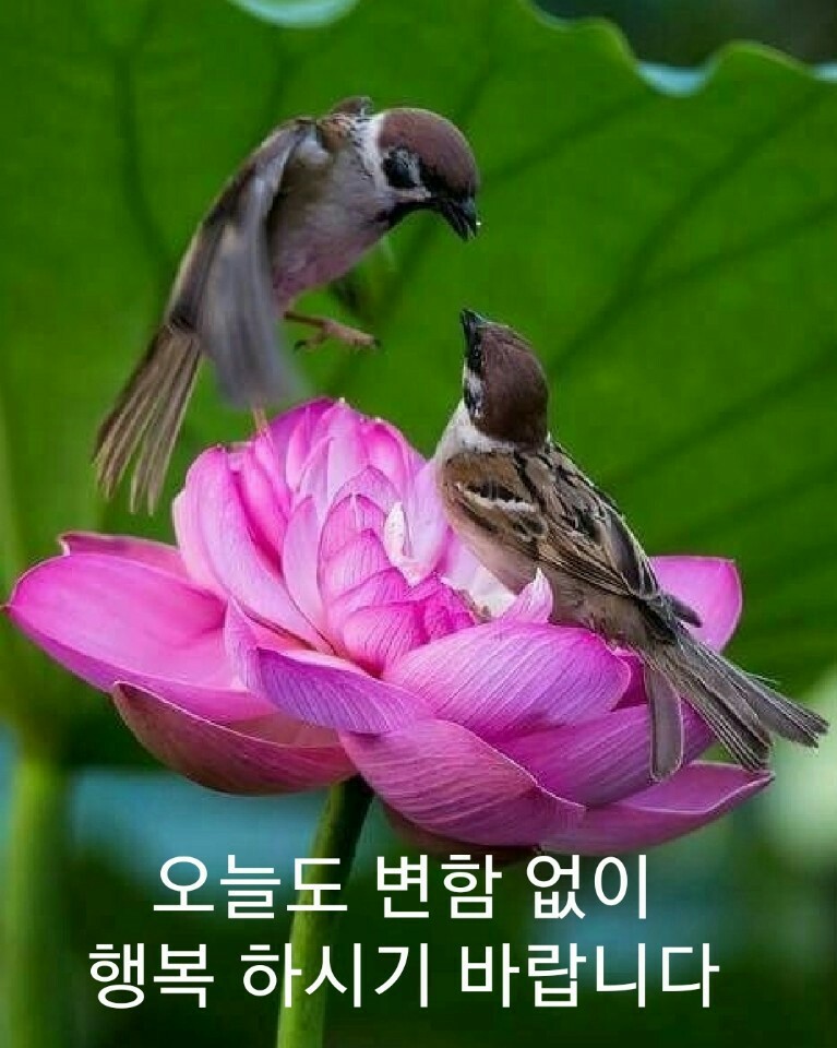 오다가다 이미지