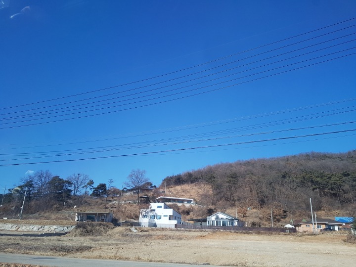 강화매운탕 이미지