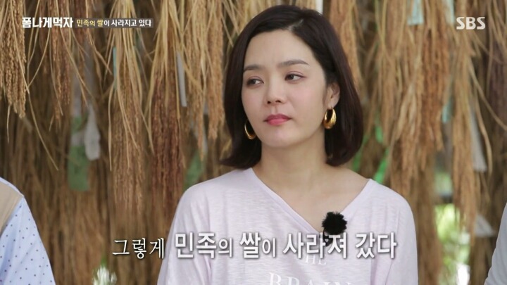 한반도의 토종 벼 품종.JPG | 인스티즈