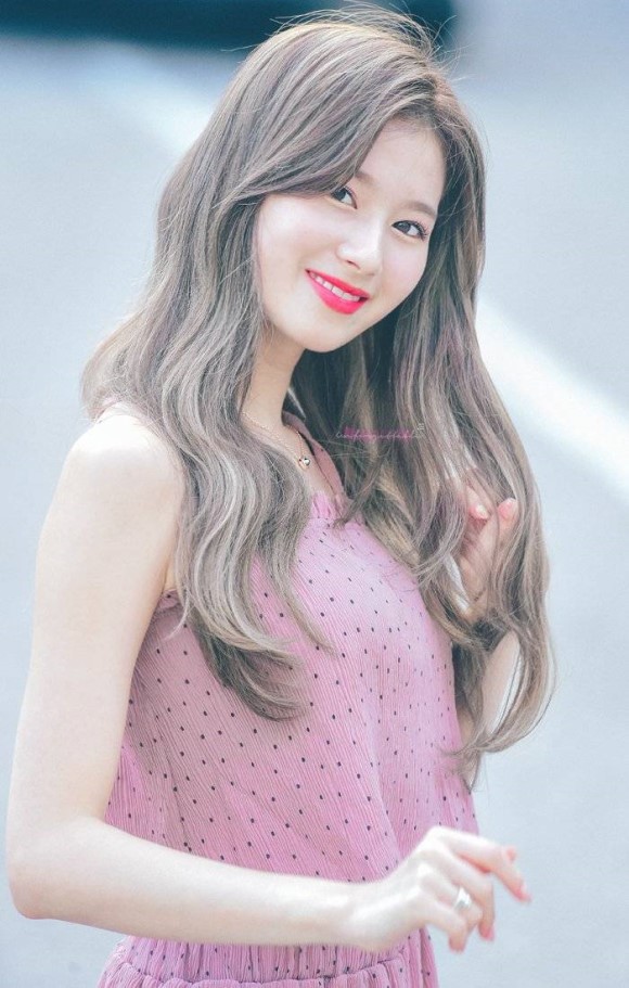 트와이스 시바견 미나토자키 사나 | 인스티즈
