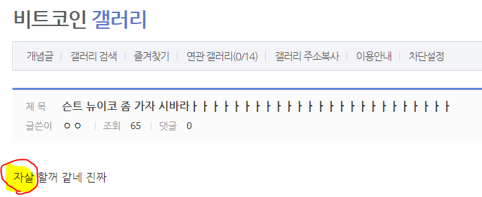SBS 뉴스 기자가 비트코인 갤에서 검색한 걸 유추하는 디씨의 코난 | 인스티즈